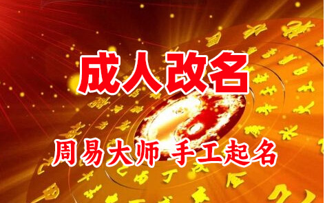 大同市成人改名-找大师一对一改名先分析后改名